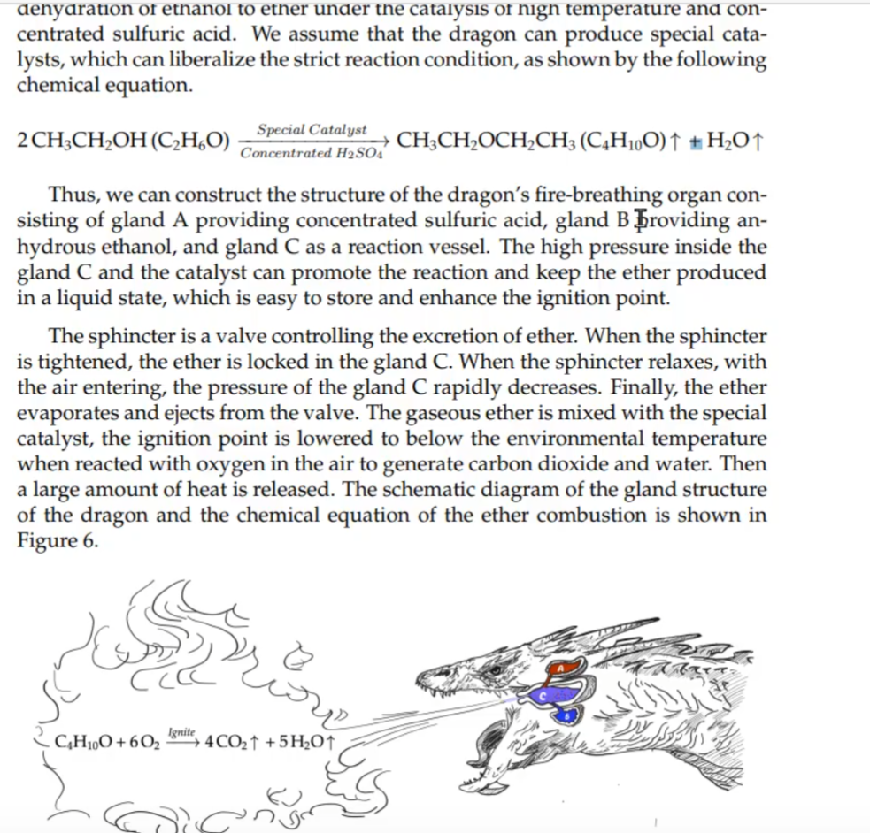 image-20220206163636178